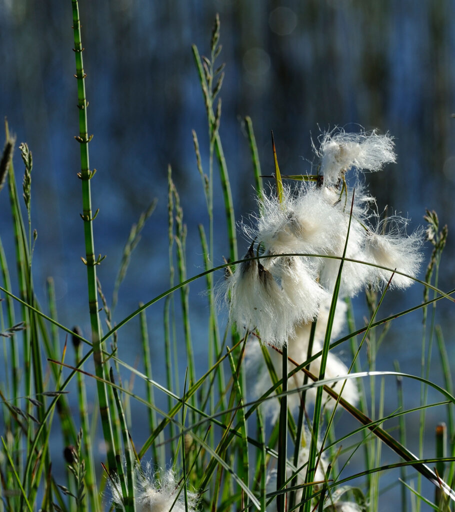 Yin Yoga Die Kunst des Geschehenlassens Kloster Ilanz Programm 2026