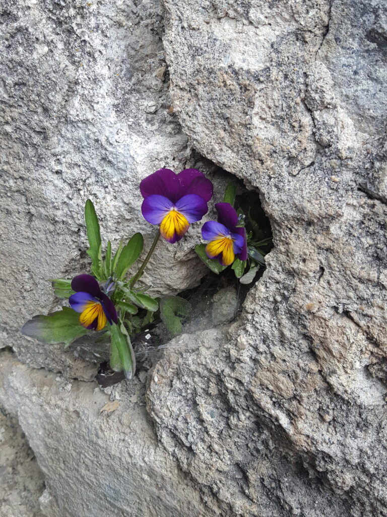Beten-mit-Leib-und-Seele-Programm Kloster Ilanz