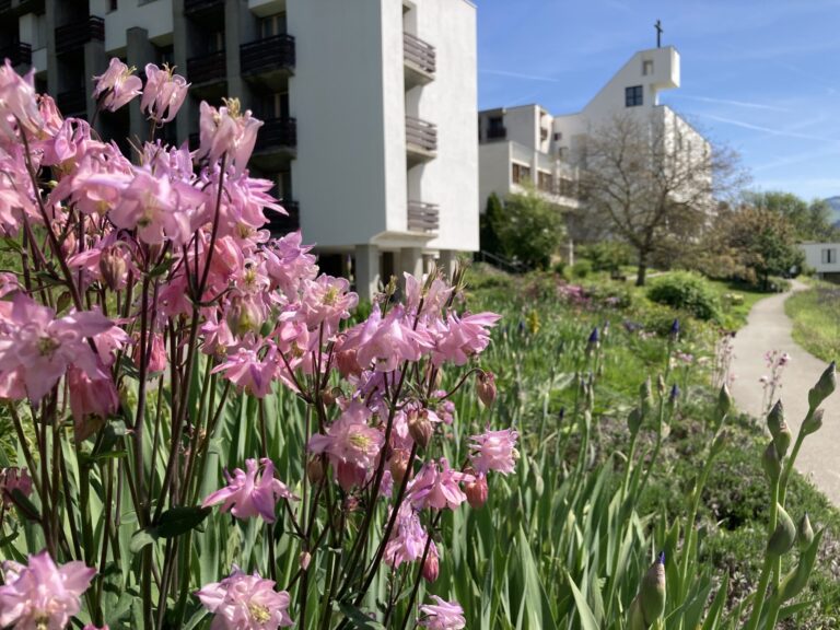 Kloster Ilanz Klosterkirche Fruehling