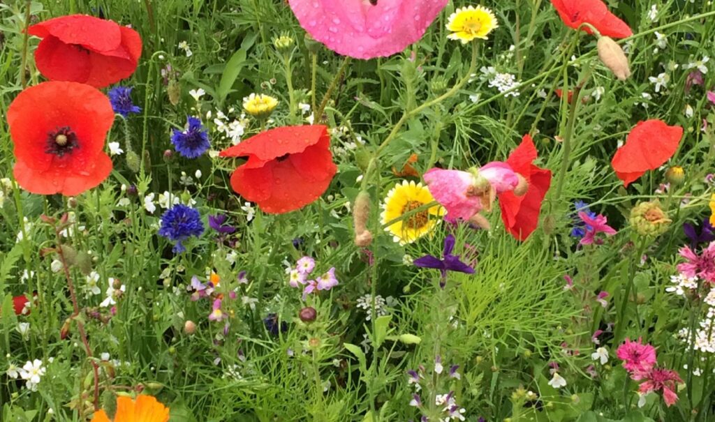 Zwischen Himmel und Erde Kreistanz Kloster Ilanz