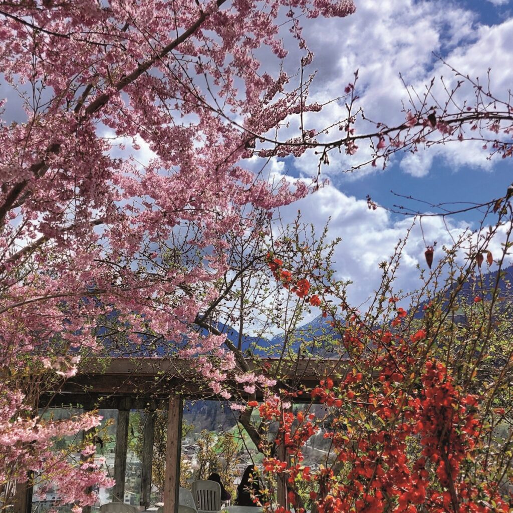 Fruehling Kloster Ilanz