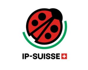 IP Suisse Logo Kloster Ilanz