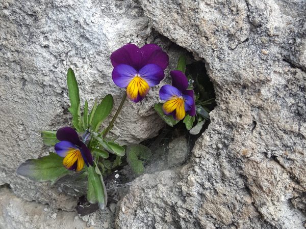 Beten-mit-Leib-und-Seele-Programm Kloster Ilanz