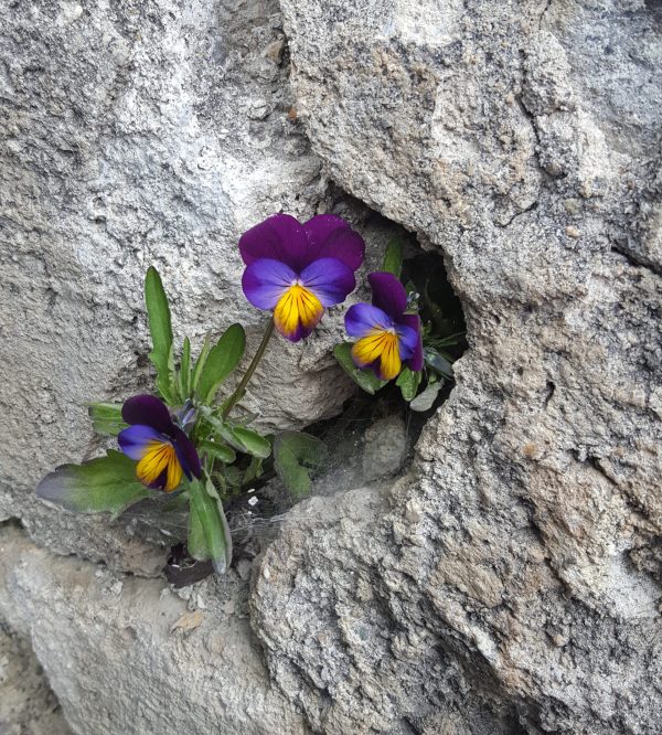 Beten-mit-Leib-und-Seele-Programm Kloster Ilanz