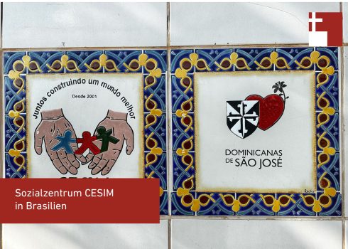 Cesim1