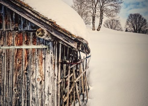 Fotoclub Grischuna Ausstellung im Kloster Ilanz Fruehjahr 2026_