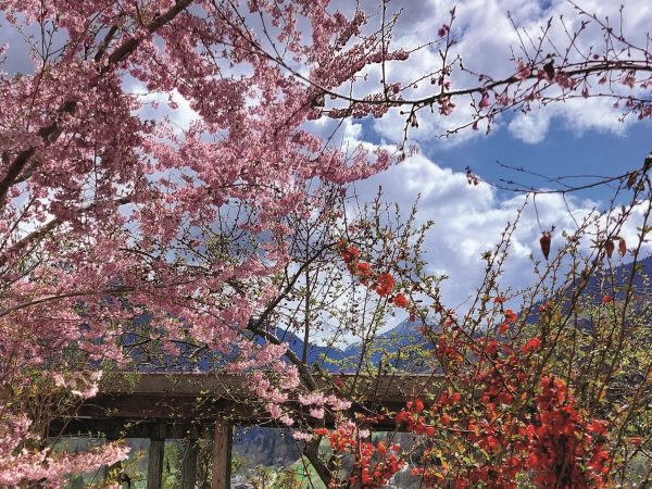 Fruehling Kloster Ilanz