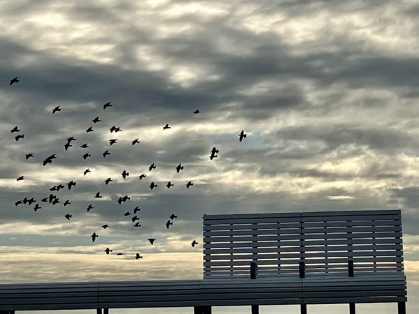 Kloster Ilanz Programm Stille