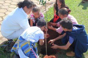 SOAMPARO Paranapanema Brasilien Kloster Ilanz