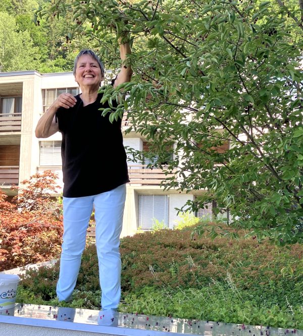 Sr Monika pflueckt Felsenbirnen