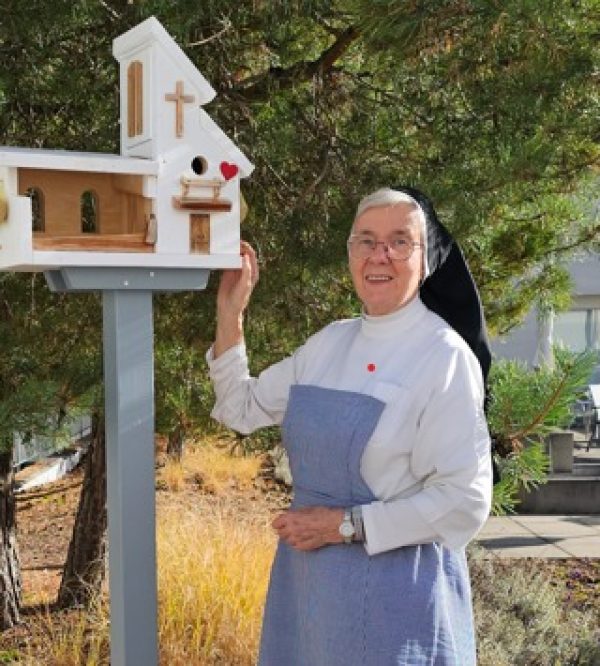 Vogelhaus Kloster Ilanz